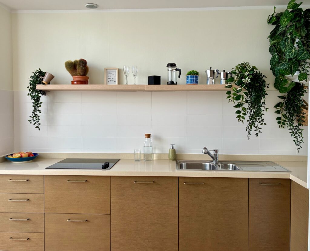 Bluebird Home photo 9